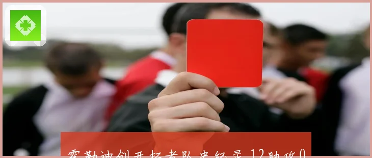 霍勒迪创开拓者队史纪录 12助攻0失误成最年长达成者