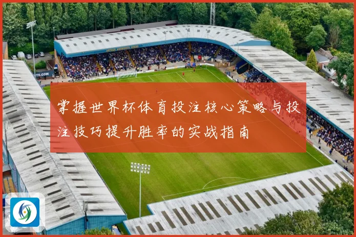 掌握世界杯体育投注核心策略与投注技巧提升胜率的实战指南