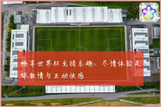 畅享世界杯竞猜乐趣，尽情体验足球激情与互动快感
