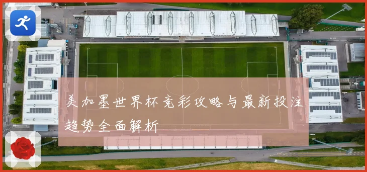 美加墨世界杯竞彩攻略与最新投注趋势全面解析