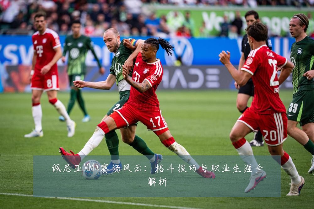 佩尼亚MMA赛场风云：格斗技巧与职业生涯全解析